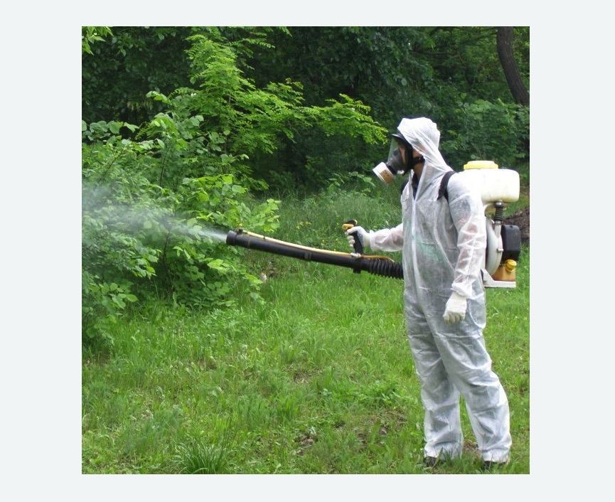 обработка территории от клещей в Балее