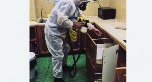 Уничтожение насекомых в квартире. Балей