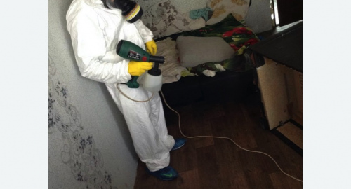 Обработка квартир от насекомых в Балее