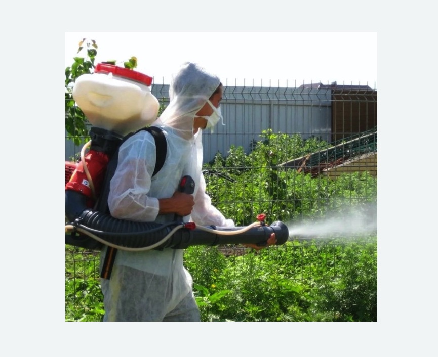 Акарицидная обработка территории в Балее