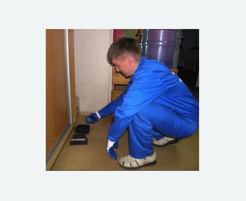 Дератизация крыс в Балее