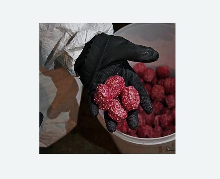 Обработка от крыс в Балее