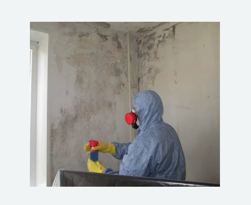 Удаление плесени в квартире в Балее