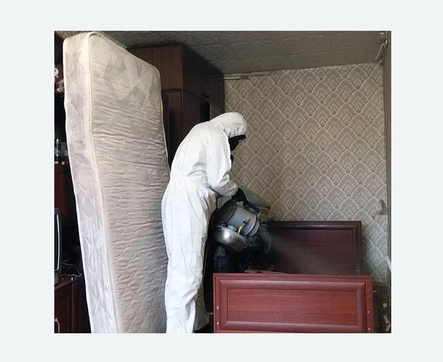 дезинфекция от клопов в Балее