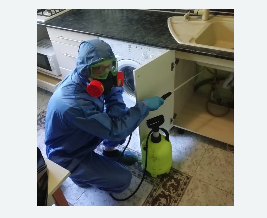 обработка от муравьев в квартире в Балее