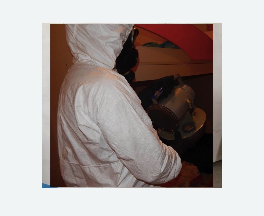 Дезинфекция от муравьев в Балее