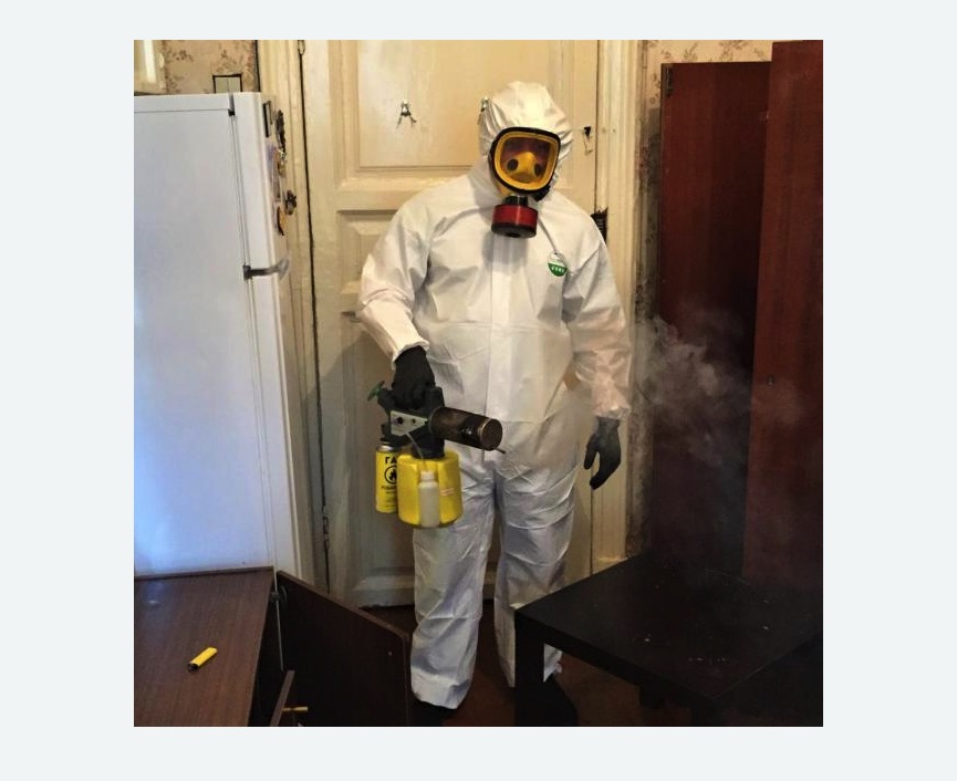 уничтожение муравьев в квартире в Балее